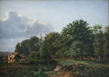 Woodland at Hellebæk.Afternoon | Free Photo - rawpixel
