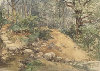 Woodland Scene with a Path | Free Photo - rawpixel