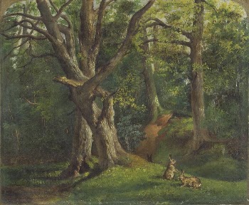 Woodland scene with rabbits | Free Photo - rawpixel