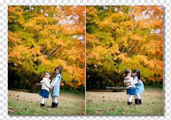 Woodland State park Leaf Child, autumn is new transparent background PNG clipart