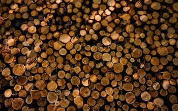 Woodpile