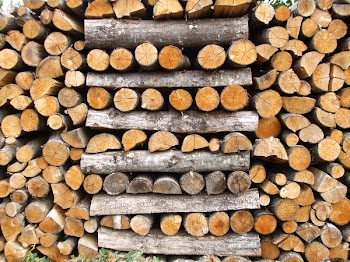 WOODPILE.JPG