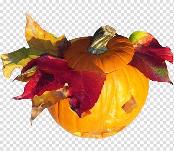 Word, gourd fruit transparent background PNG clipart