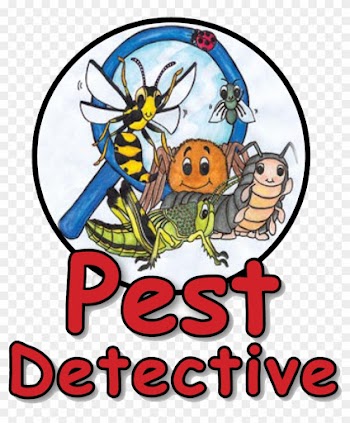 Words 'pest Detective' And Hand Drawn Illustration - Pest Detective