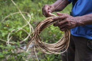 Worker and rattan agriculture life. | Free Photo - rawpixel