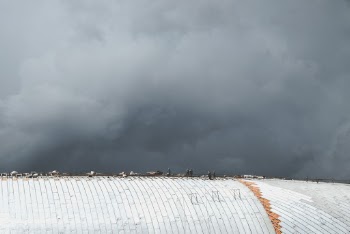 Workers At The Roof Of A Building