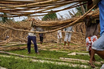 Workers harvesting rattan. Free public | Free Photo - rawpixel