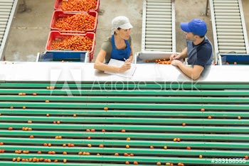 Workers talking in food processing plant