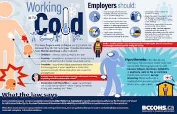 Working in the Cold Infographic