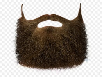World Beard and Moustache Championships Clip art - Beard 