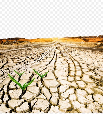 World Day to Combat Desertification and Drought Drylands - Severe water shortage 