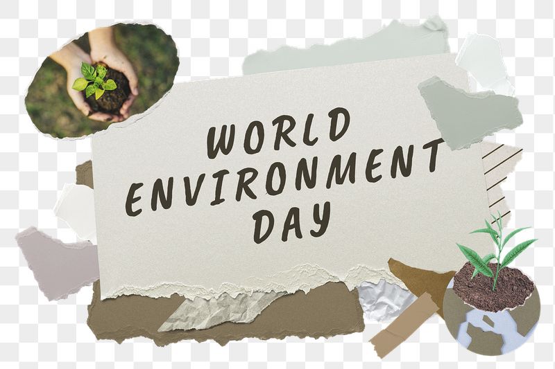 World Environment Day png word | Free PNG - rawpixel