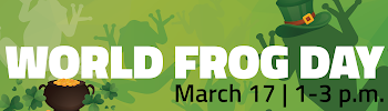 World Frog Day & St. Patrick's Day Celebration - Lake Superior Zoo