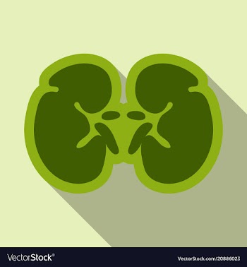 World kidney day card with cute cartoon couple of vector image