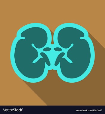 World kidney day card with cute cartoon couple of vector image