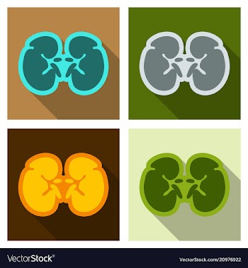 World kidney day card with cute cartoon couple of vector image