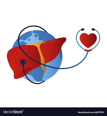 world liver and hepatitis day with stethoscope