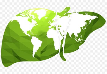 World map Globe Vector graphics - charterhouse 