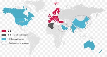World map Globe Vector graphics - france exports 2016 