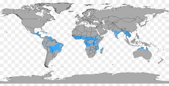 World map The World Factbook Scale - world map 