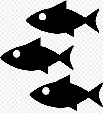 World Marketing operativo LinkedIn Clip art Almawave S.r.l. - fishpng infographic 