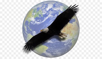 World Religion Polytheism Hinduism Islam - cerejeira 