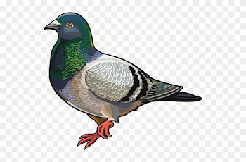 World Wide Words - Destinationvinyl 2 X 10cm/100mm Pigeon Vinyl Sticker