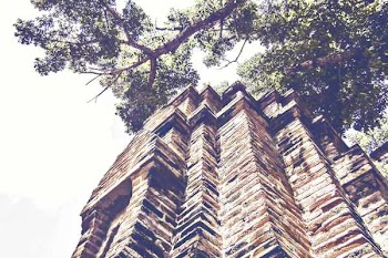 Worm's-eye View Building