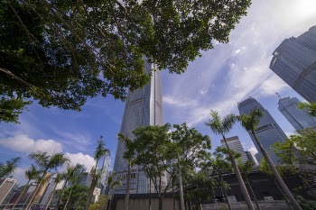 Worm's Eye View of Buildings and Trees