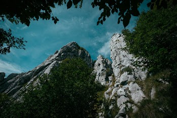 Worm's-eye View of Mountain