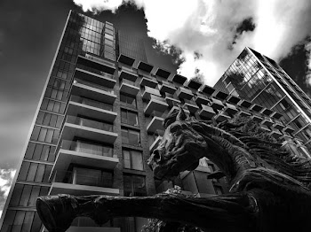 Worm's Eye View Photography of Horse and Building