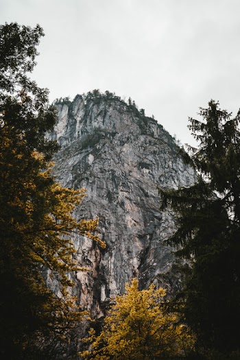Worm's-eye View Photography of Rocky Mountain
