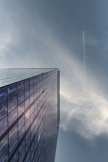 Worm's Wye View Photography Of Building