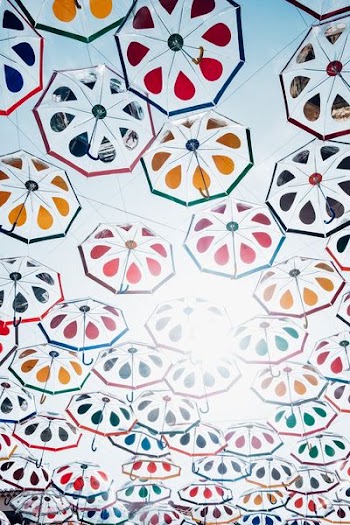 worm eye view of assorted-color of umbrella
