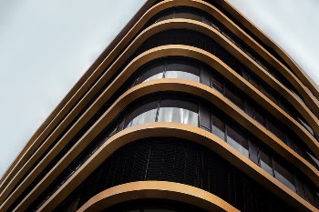 worm's eye vie of brown | Free Photo - rawpixel