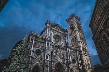 worm's eye view of vintage cathedral