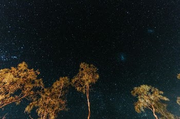 worm's eye view photography of starry night sky