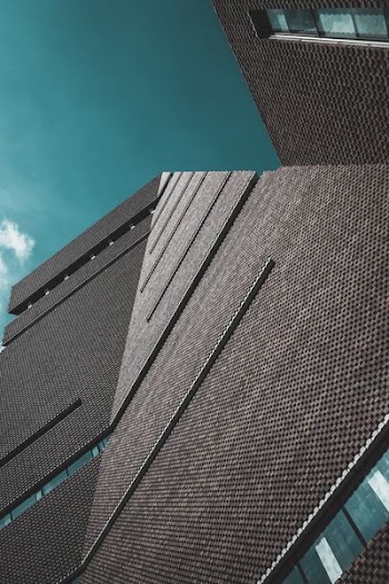 worm view of building during daytime