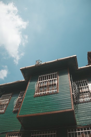 Worm View Photo of Green House