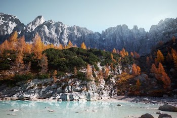 worms eye view of mountain during daytime