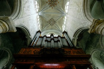 Worms Eye View Photography of Cathedral Ceiling