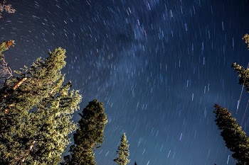 worms view of sky filled with stars