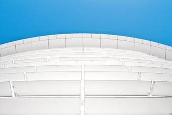 worms view photography of white building