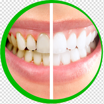 WR Dental Clinic PNG