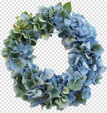 Wreath Dialysis Diabetic nephropathy Medicine French hydrangea, Hitachi transparent background PNG clipart