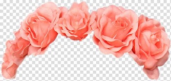 Wreath Flower Crown, flower transparent background PNG clipart