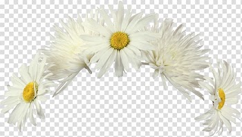 Wreath Flower Garden roses , conch transparent background PNG clipart