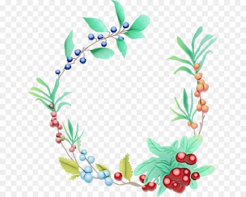 Wreath, Fruit, Berries, Leaf, Plant PNG