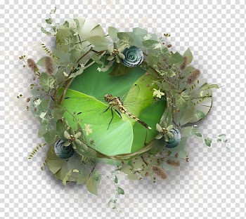 Wreath Herb, Zen Sitting transparent background PNG clipart
