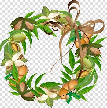 Wreath Nut , Clip On Nuts transparent background PNG clipart